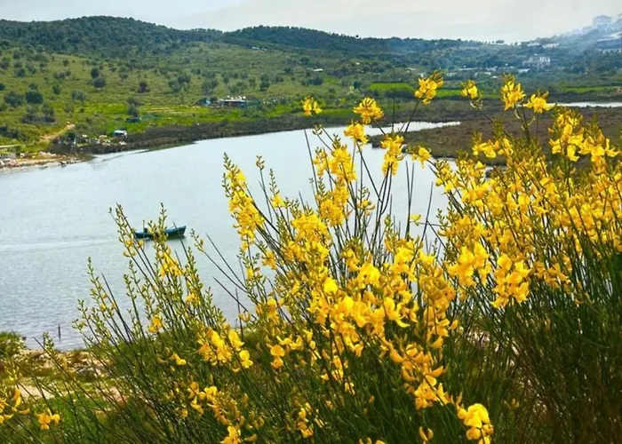 Appartamento Flavin 2 *